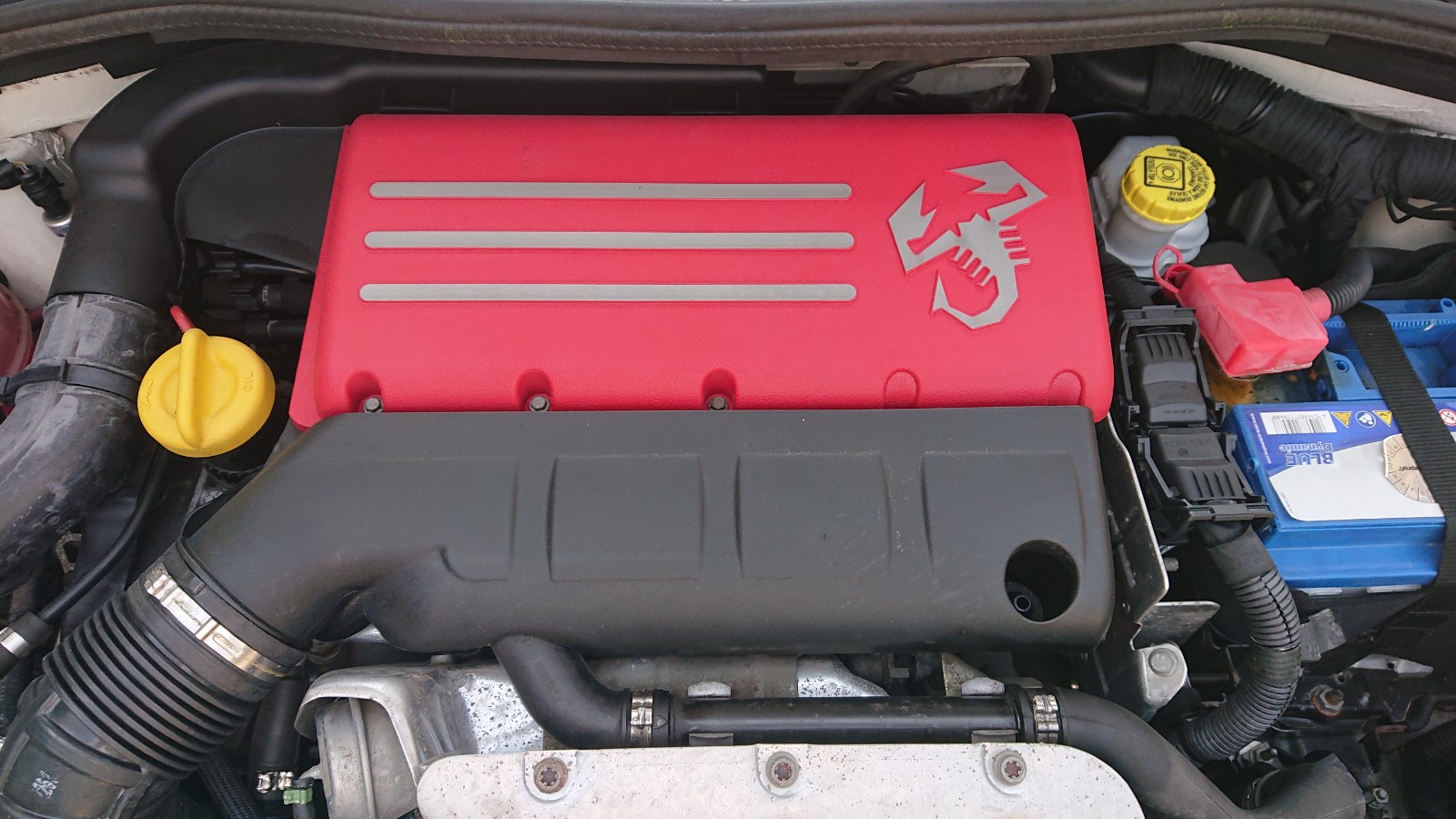 DSC 0005 1728130975842