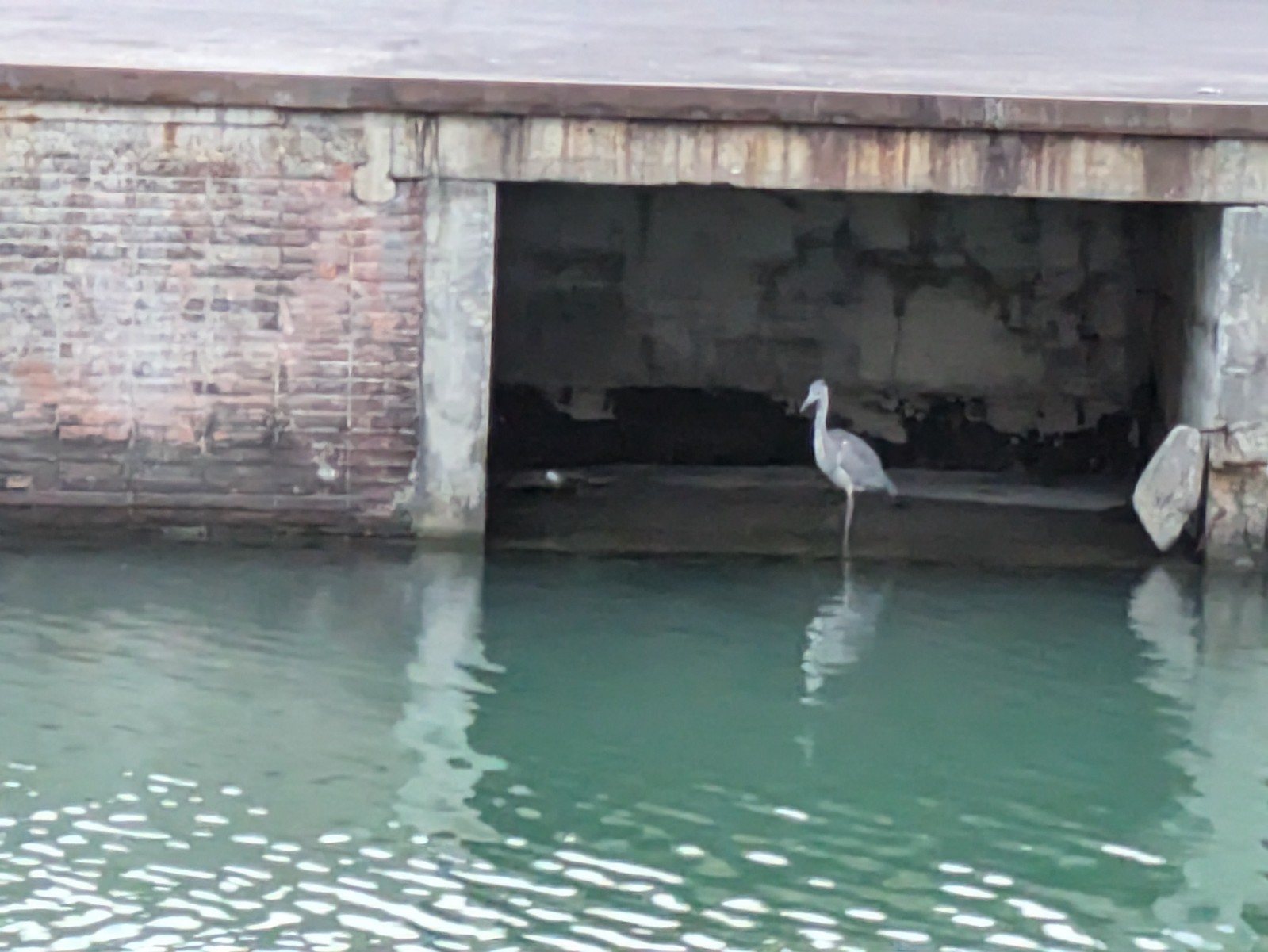 PXL 20240608 184254508