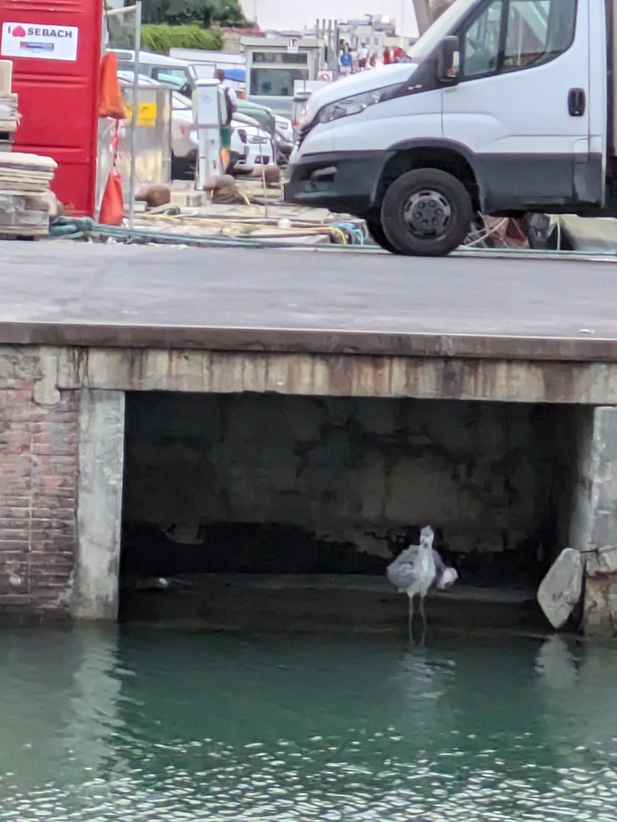 PXL 20240608 184432884