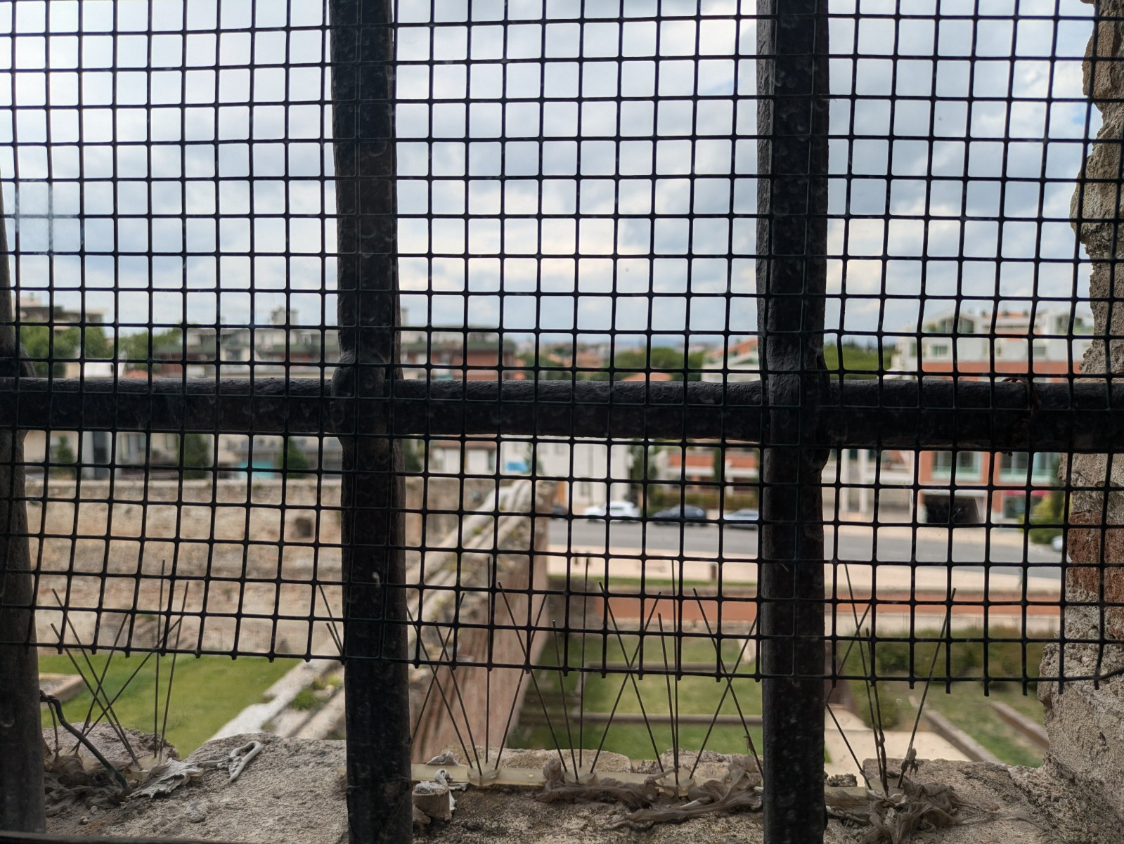 PXL 20240613 101007883