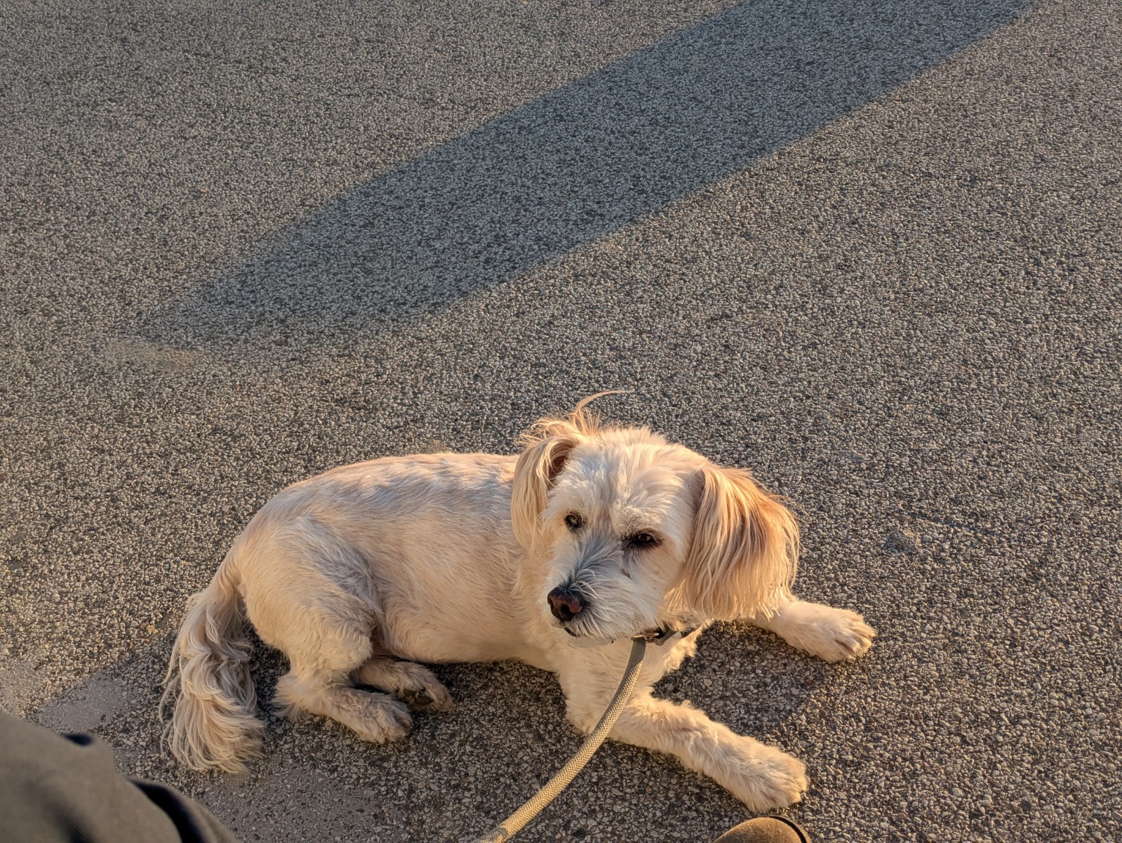 PXL 20240614 181744166