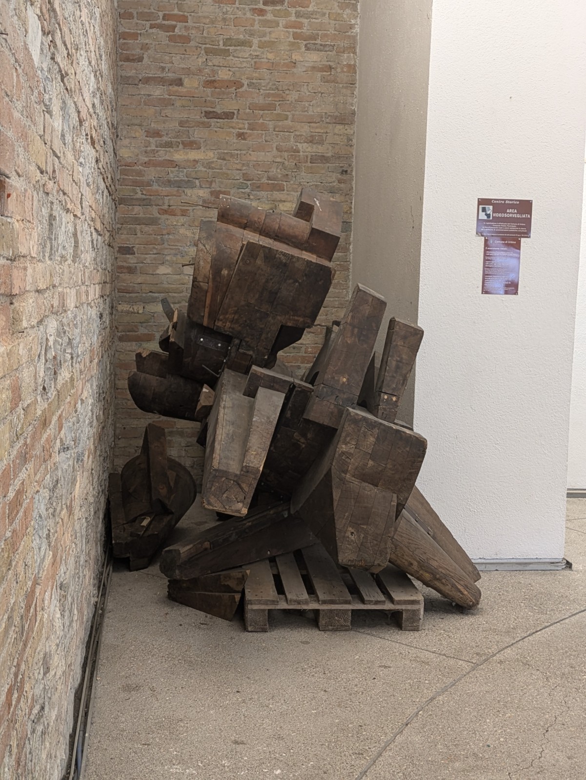 PXL 20240624 091227640.PORTRAIT.ORIGINAL