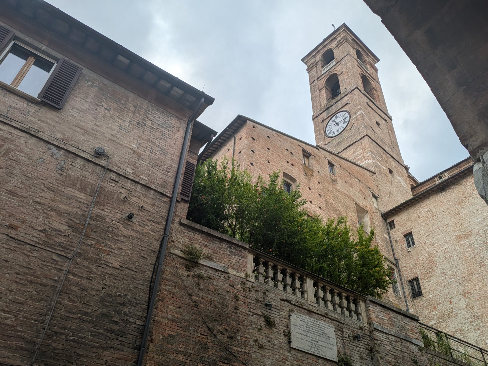 PXL 20240624 091805554