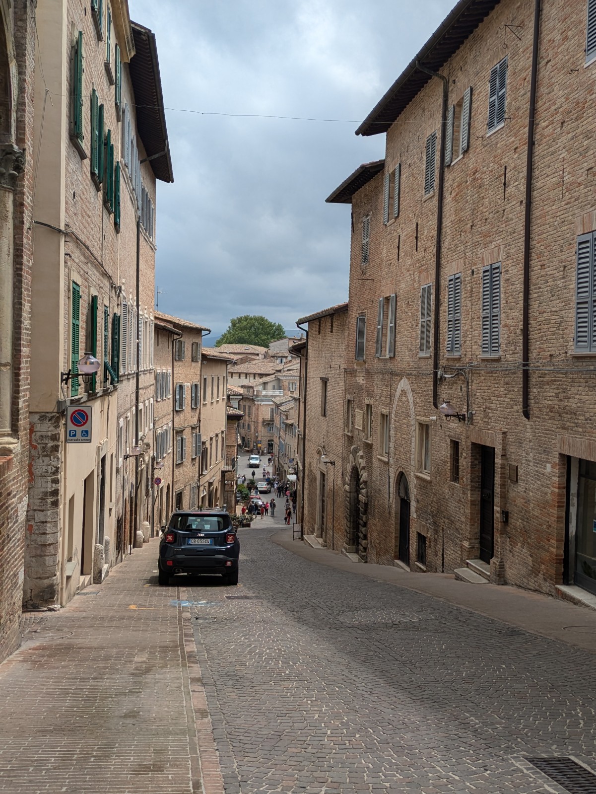 PXL 20240624 113529463