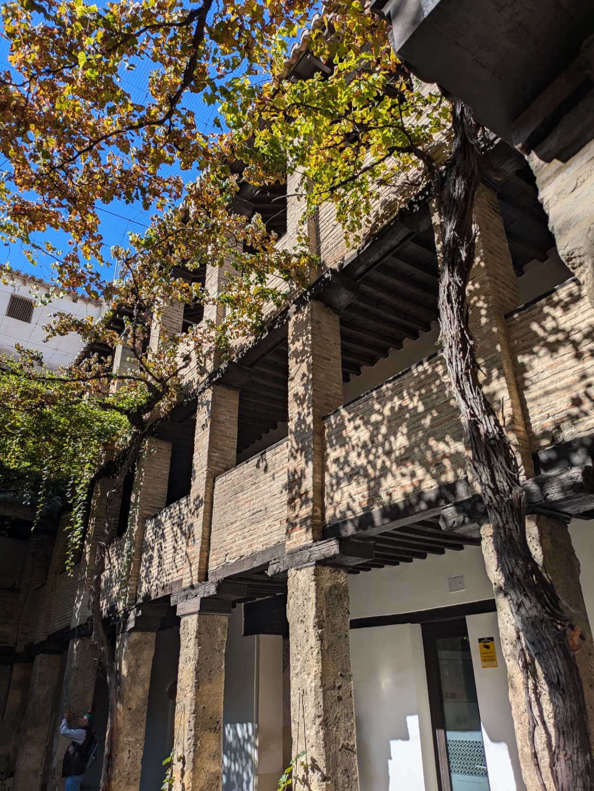 PXL 20241023 095910892