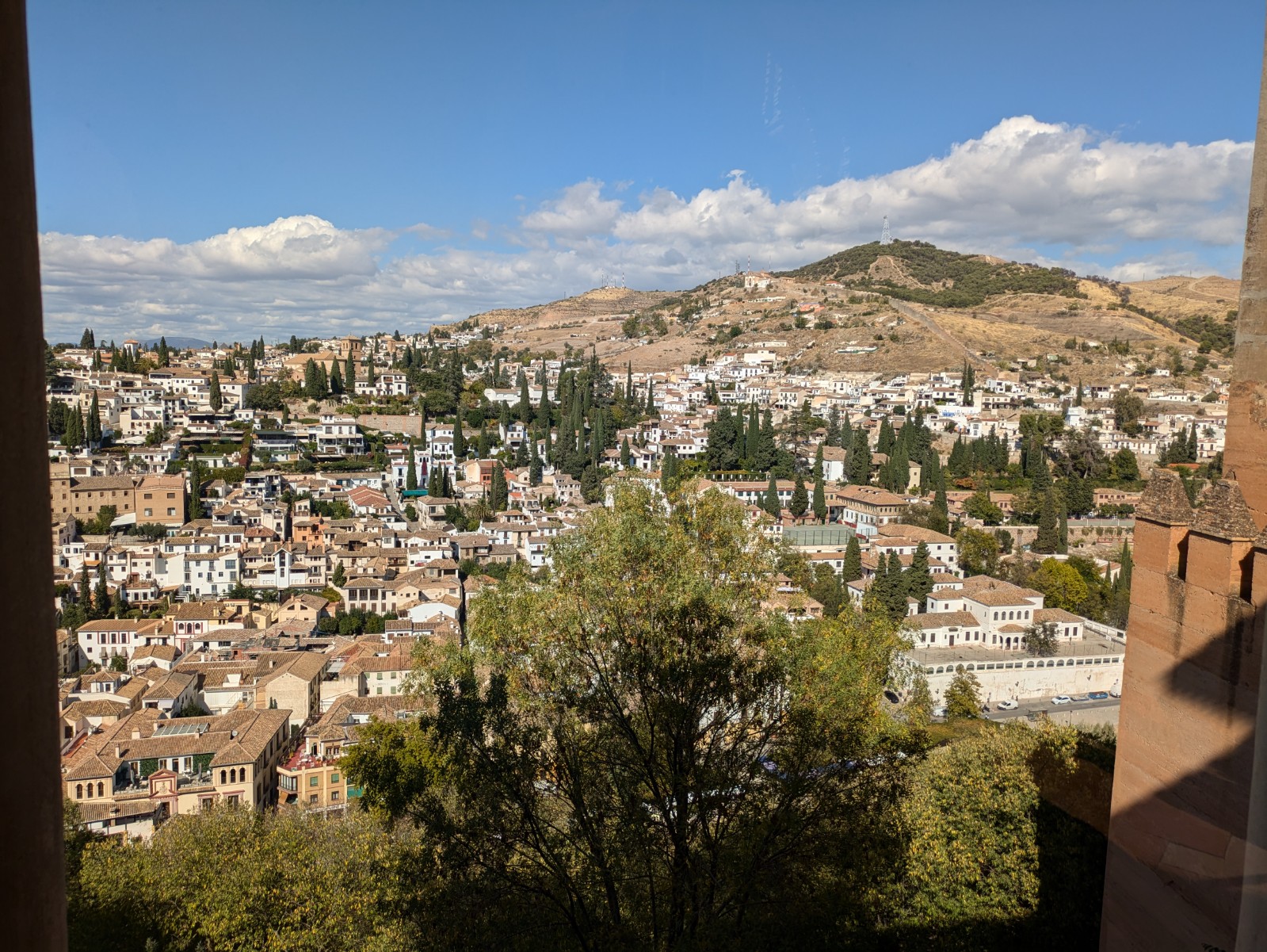 PXL 20241023 131037514