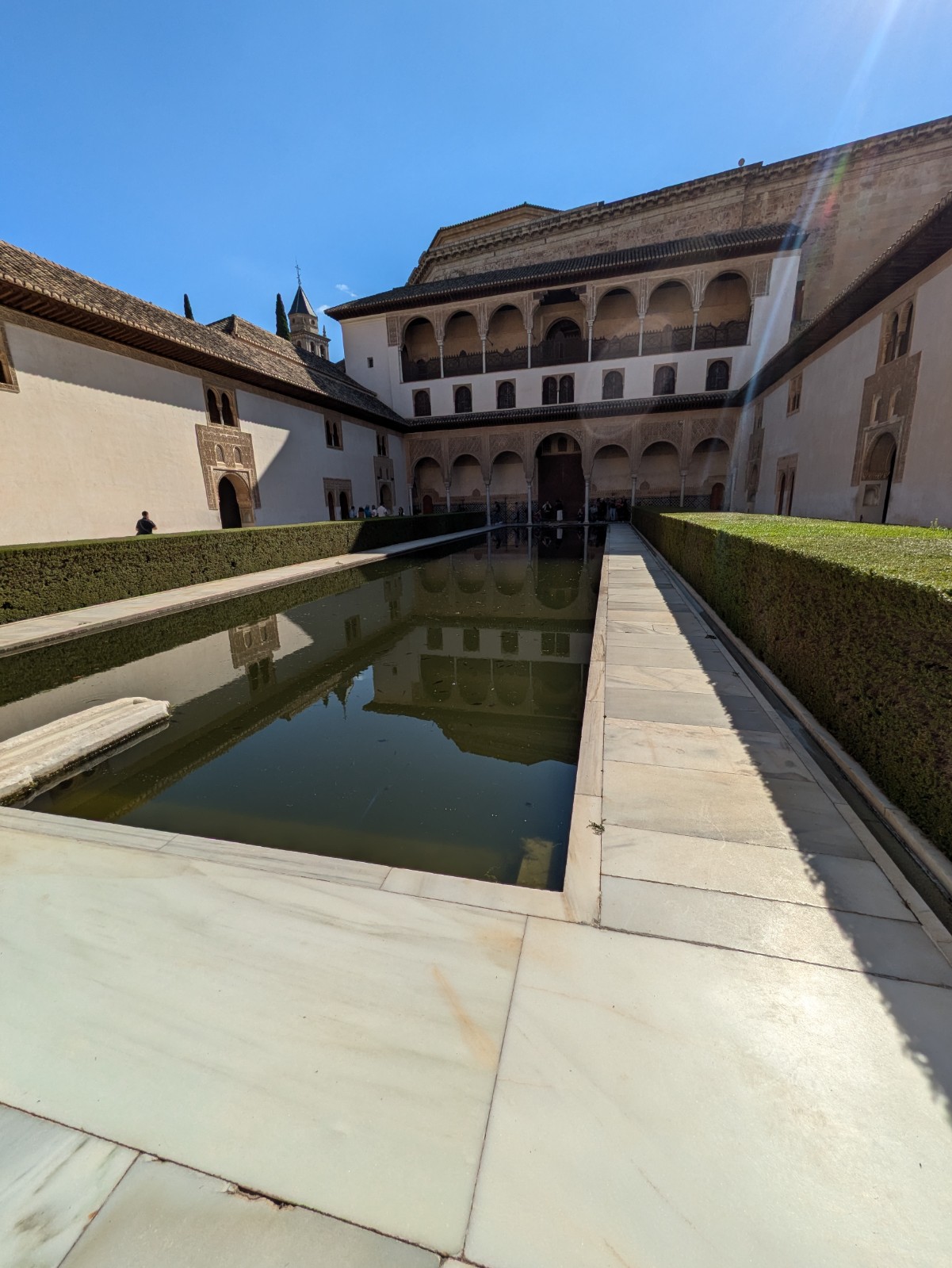 PXL 20241023 131601403