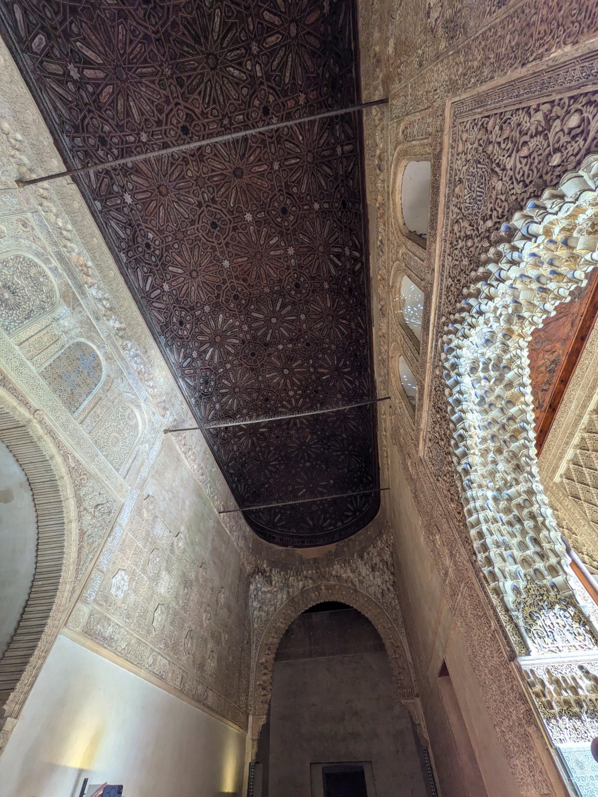 PXL 20241023 131650312