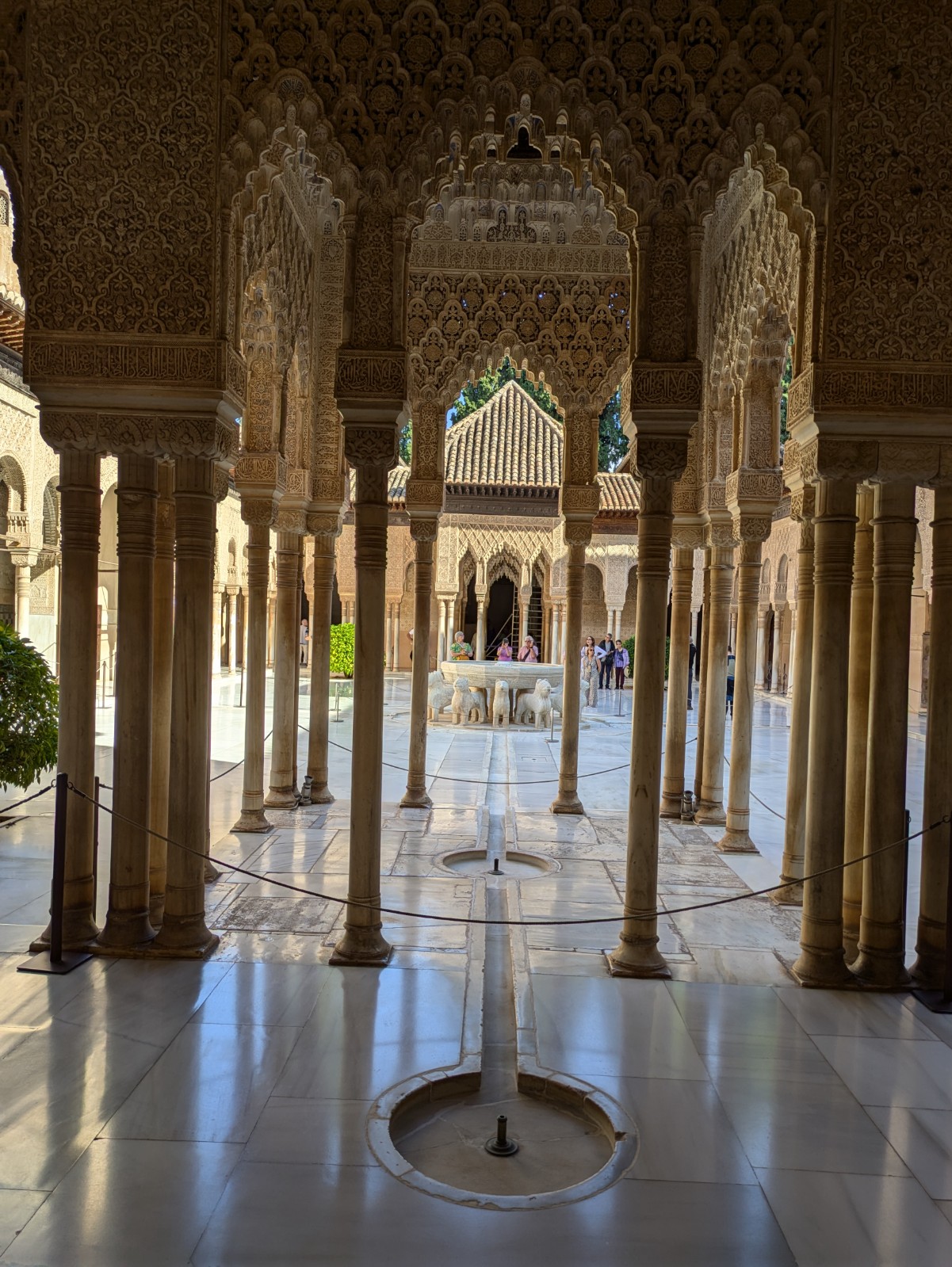 PXL 20241023 133256890