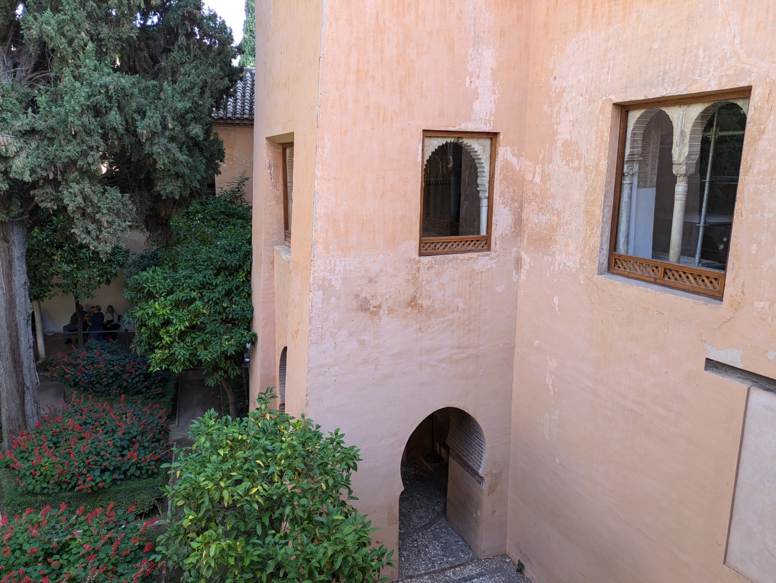 PXL 20241023 135637542