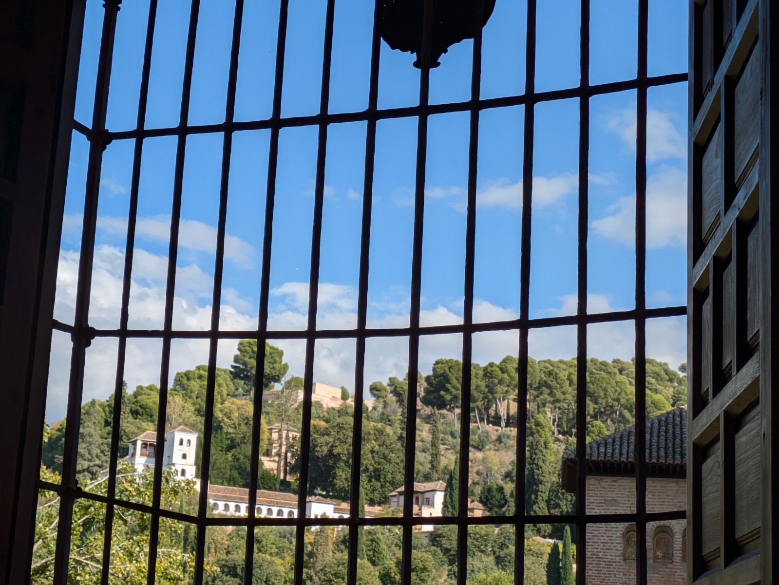 PXL 20241023 140407622