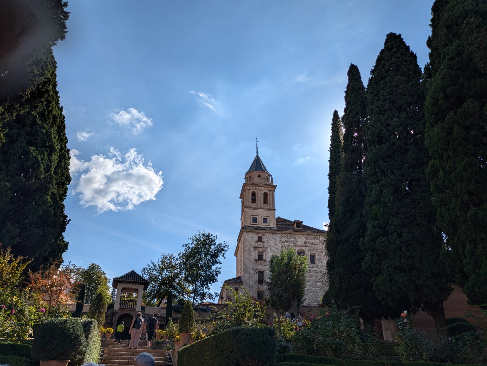 PXL 20241023 140601228