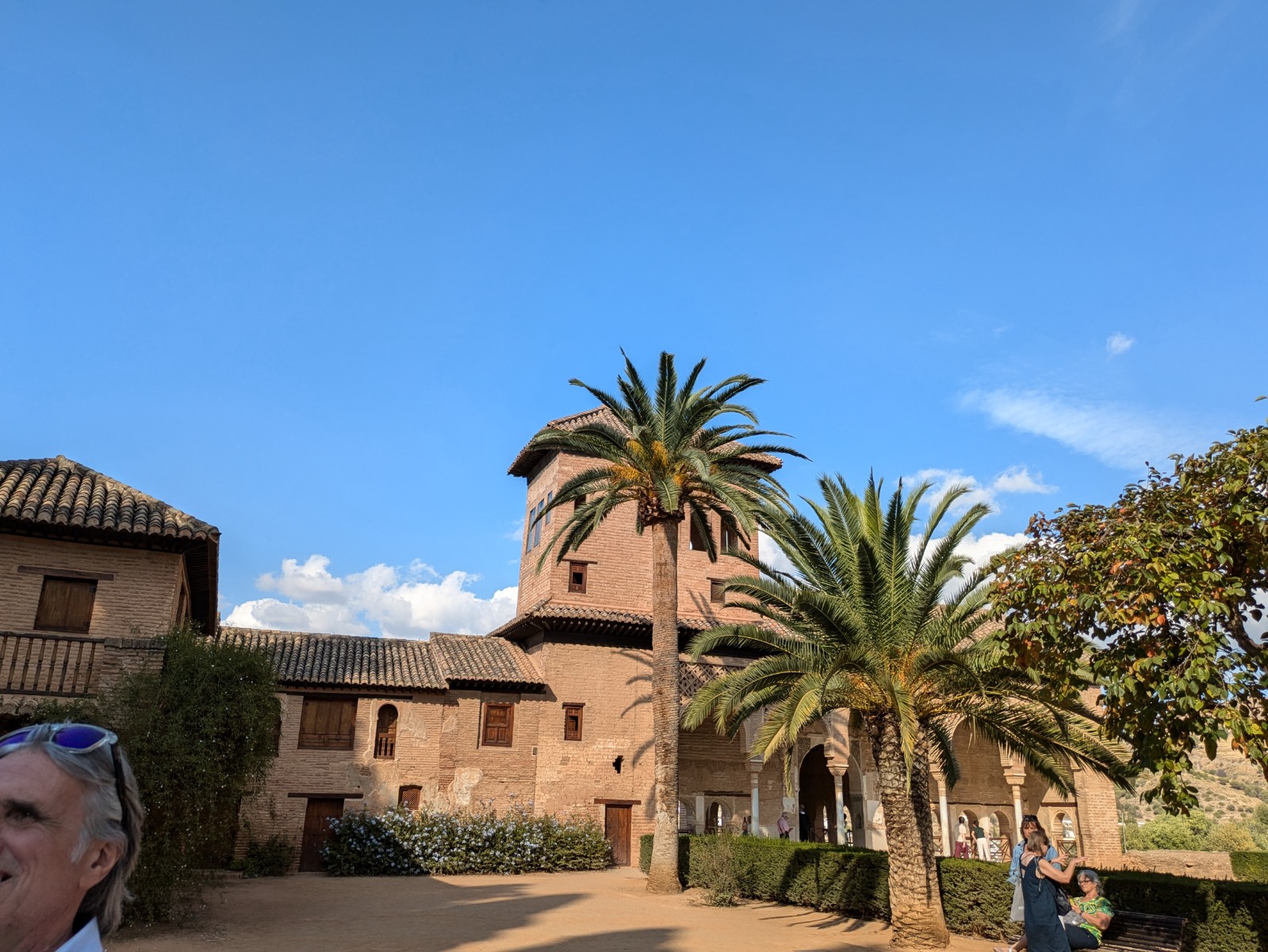 PXL 20241023 140612080