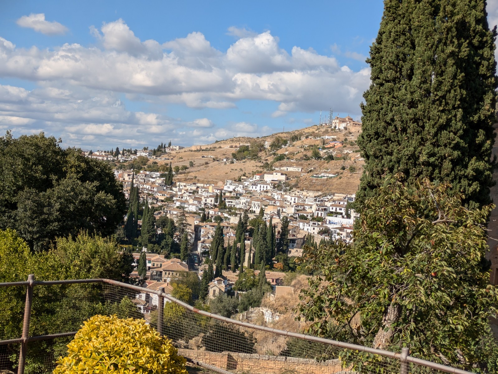 PXL 20241023 141406114