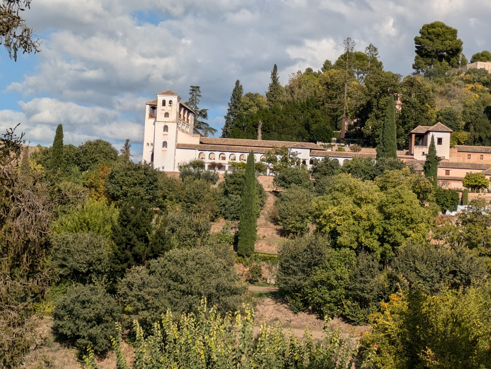 PXL 20241023 141412798