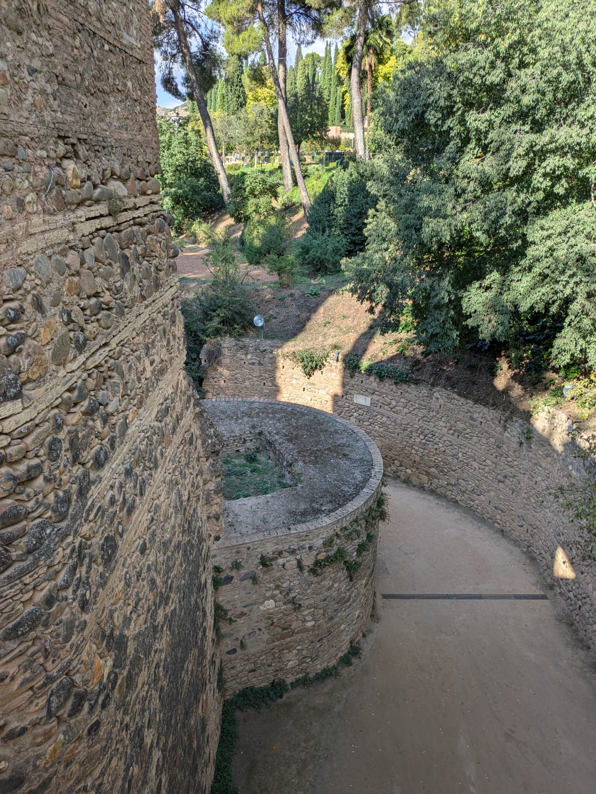 PXL 20241023 142026126