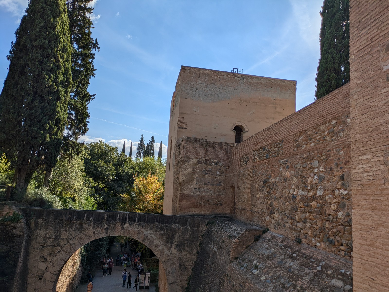 PXL 20241023 142049580