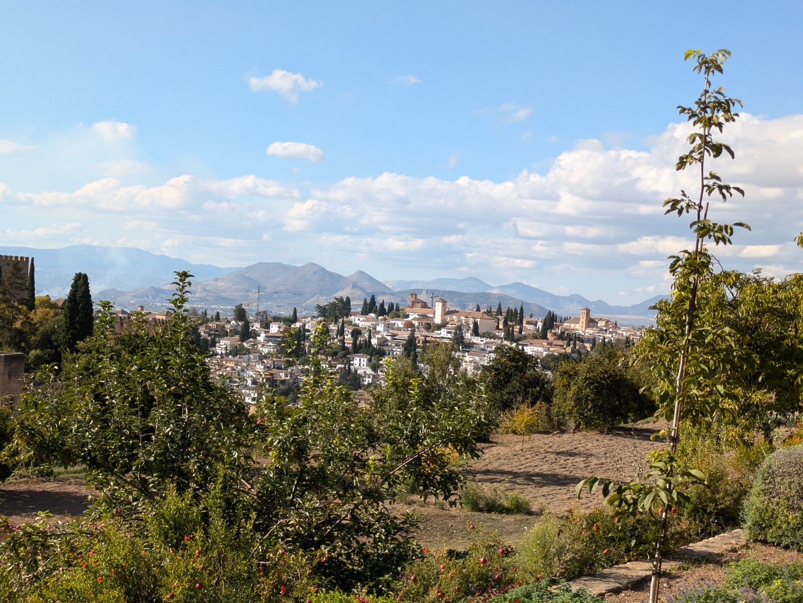 PXL 20241023 142443281