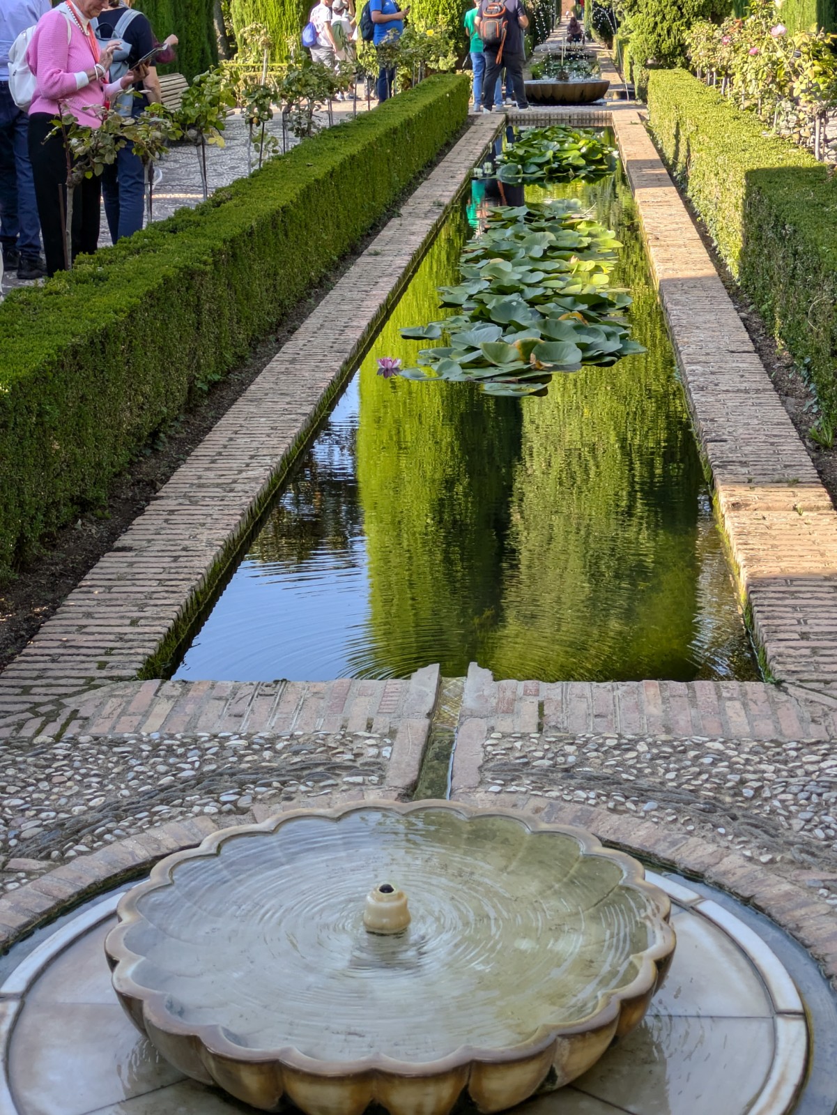 PXL 20241023 143139139