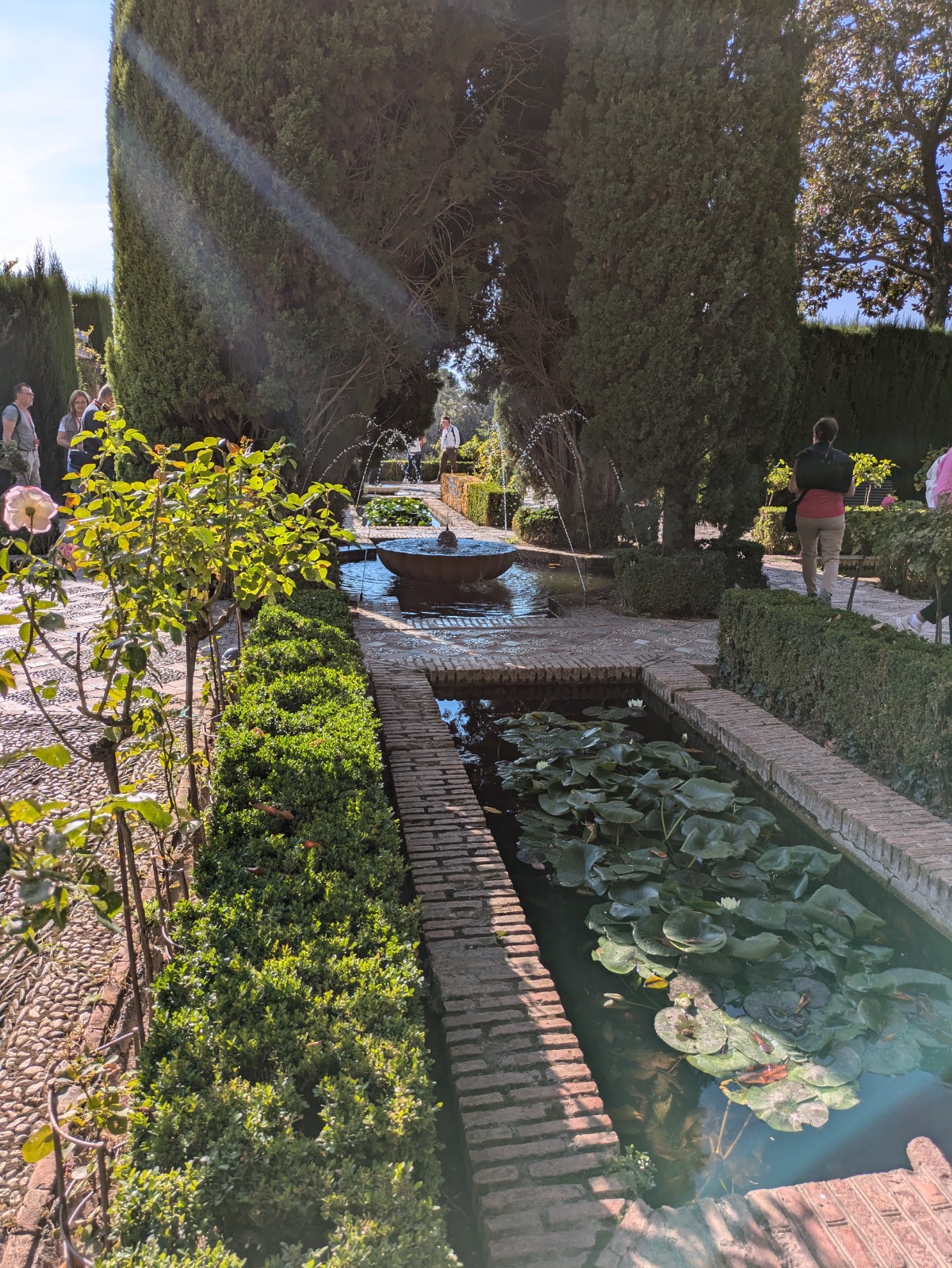 PXL 20241023 143309767