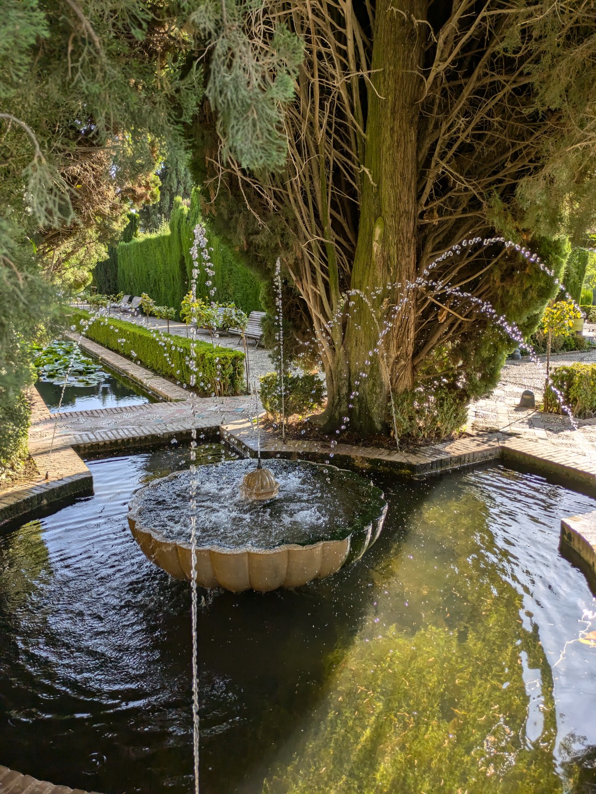 PXL 20241023 143457801