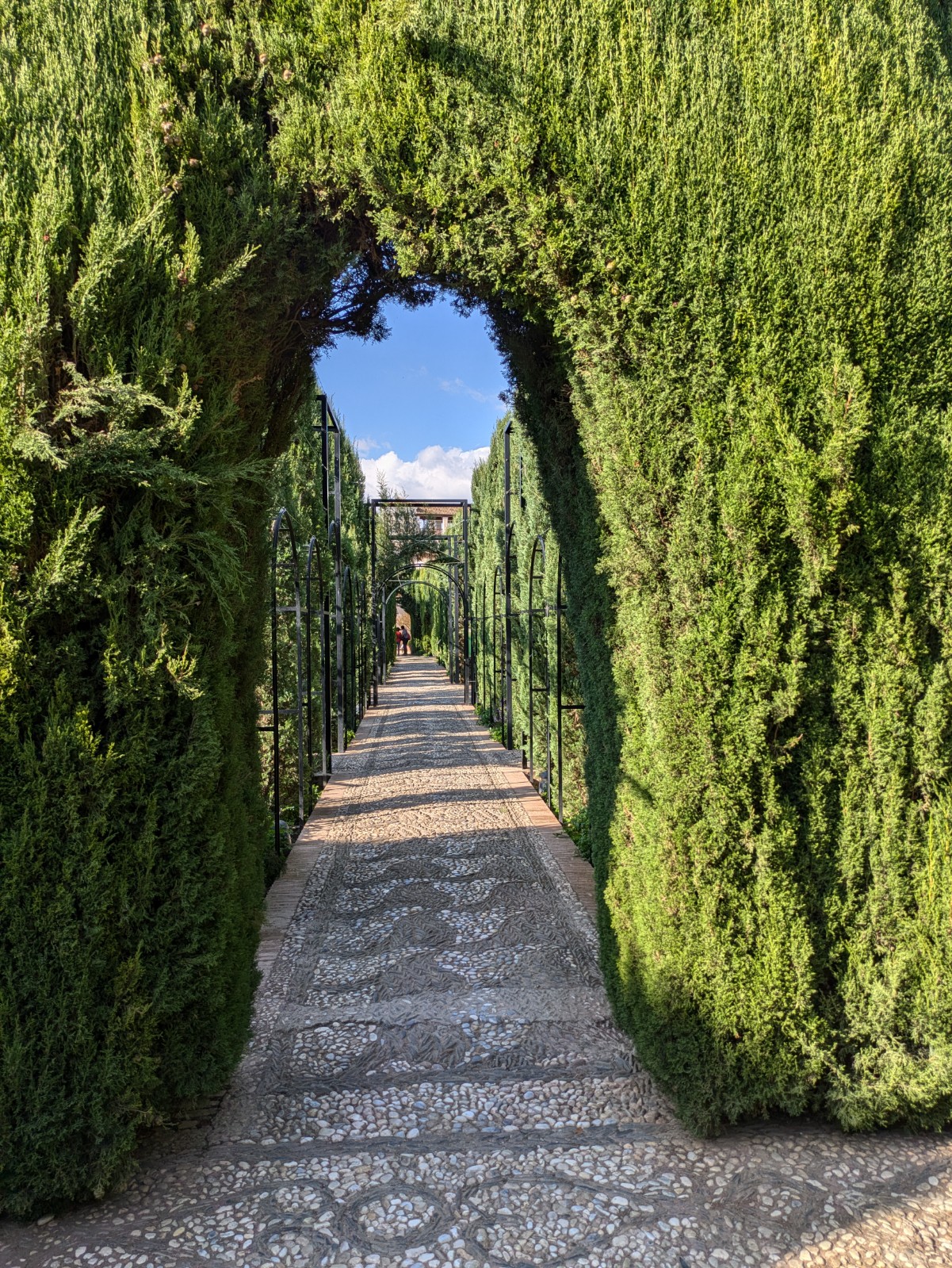 PXL 20241023 143546740