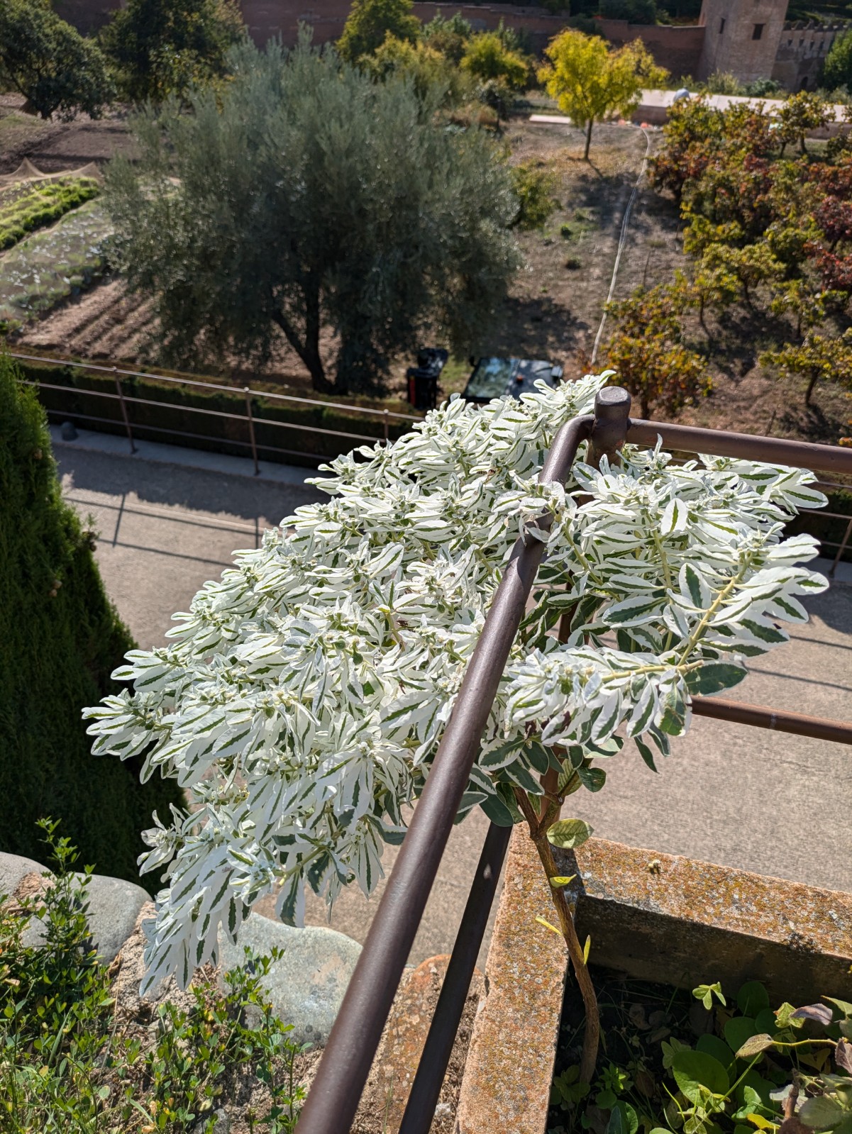 PXL 20241023 143738238