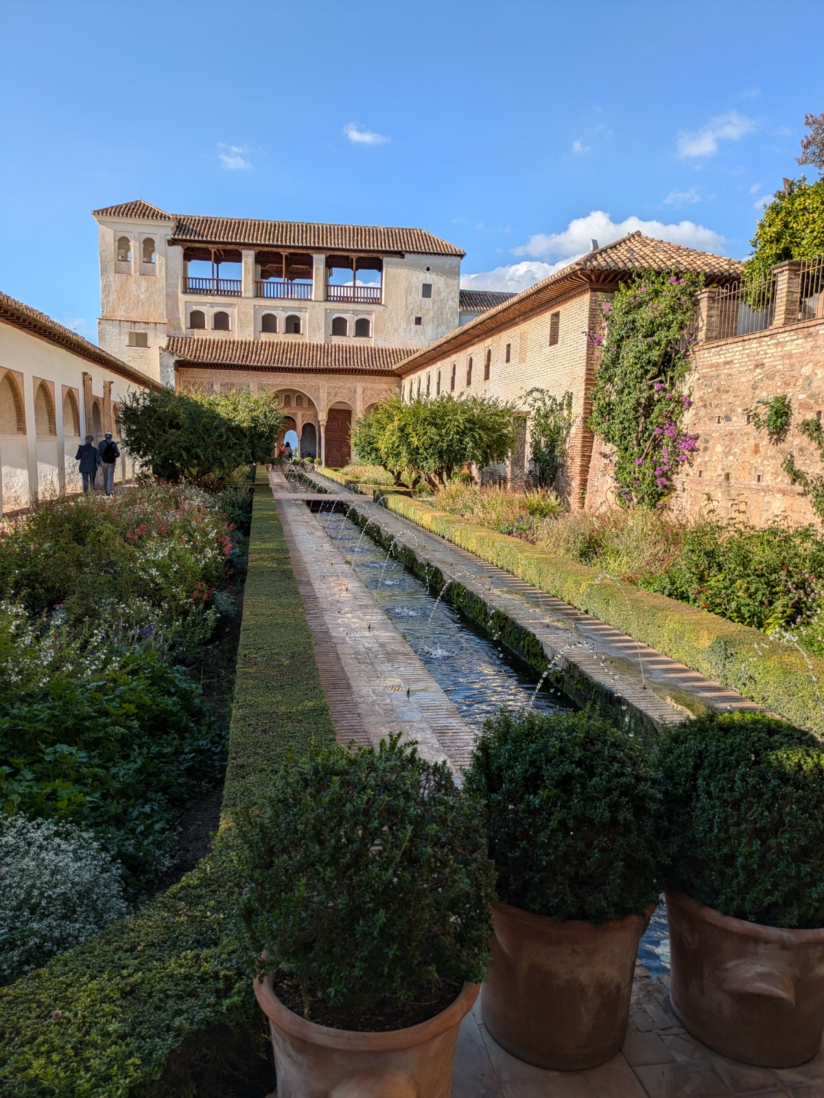 PXL 20241023 144552771