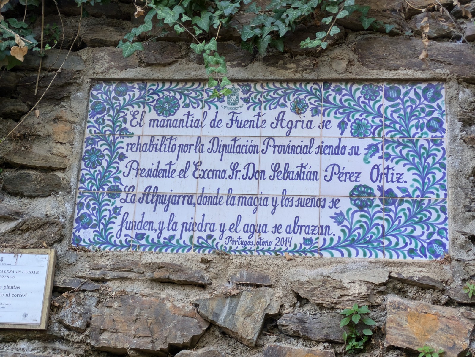 PXL 20241024 084952295