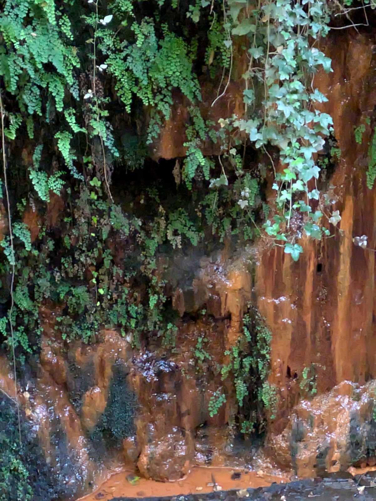 PXL 20241024 085418831