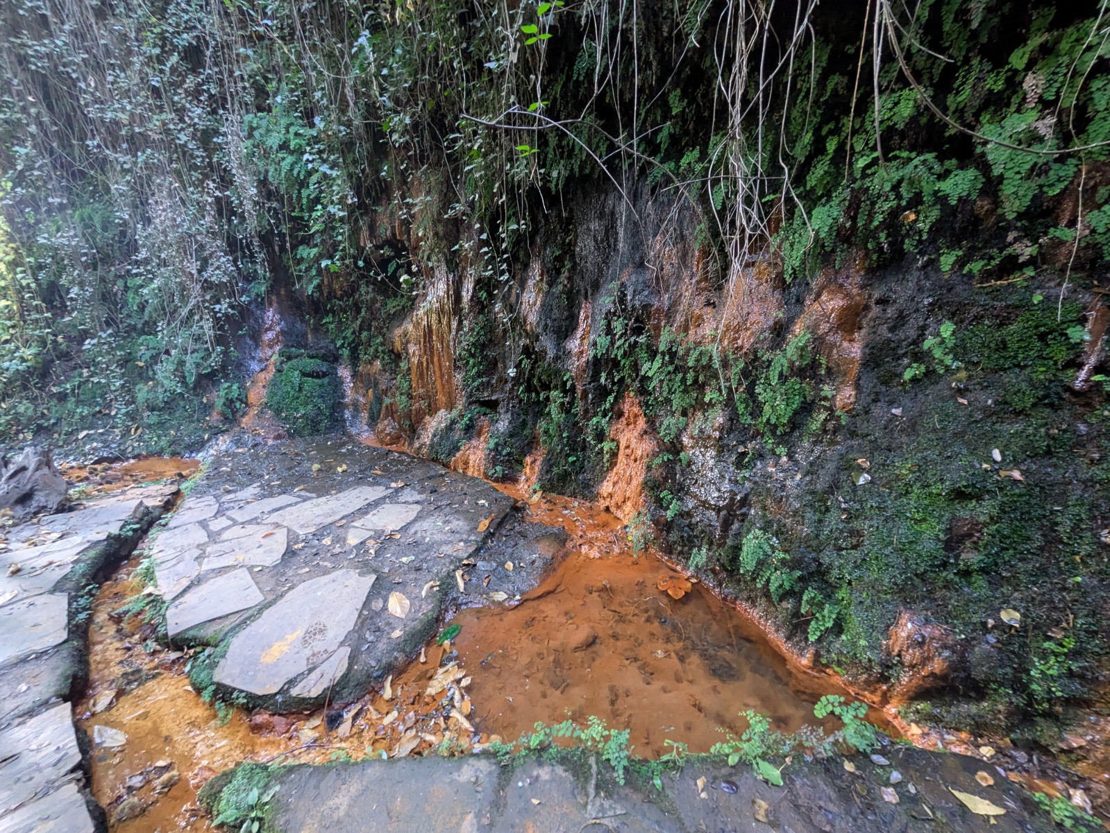 PXL 20241024 085527893