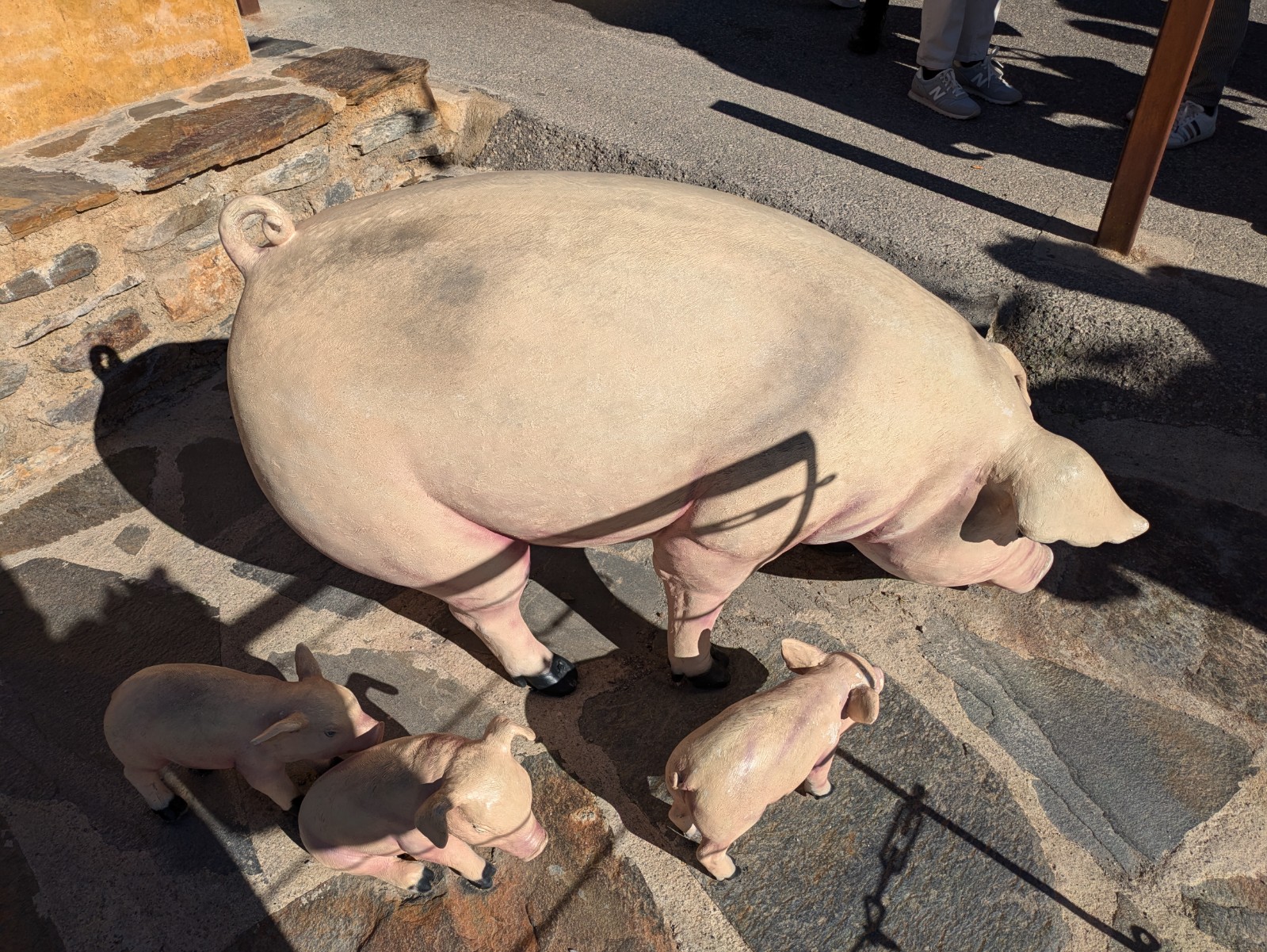 PXL 20241024 092647394