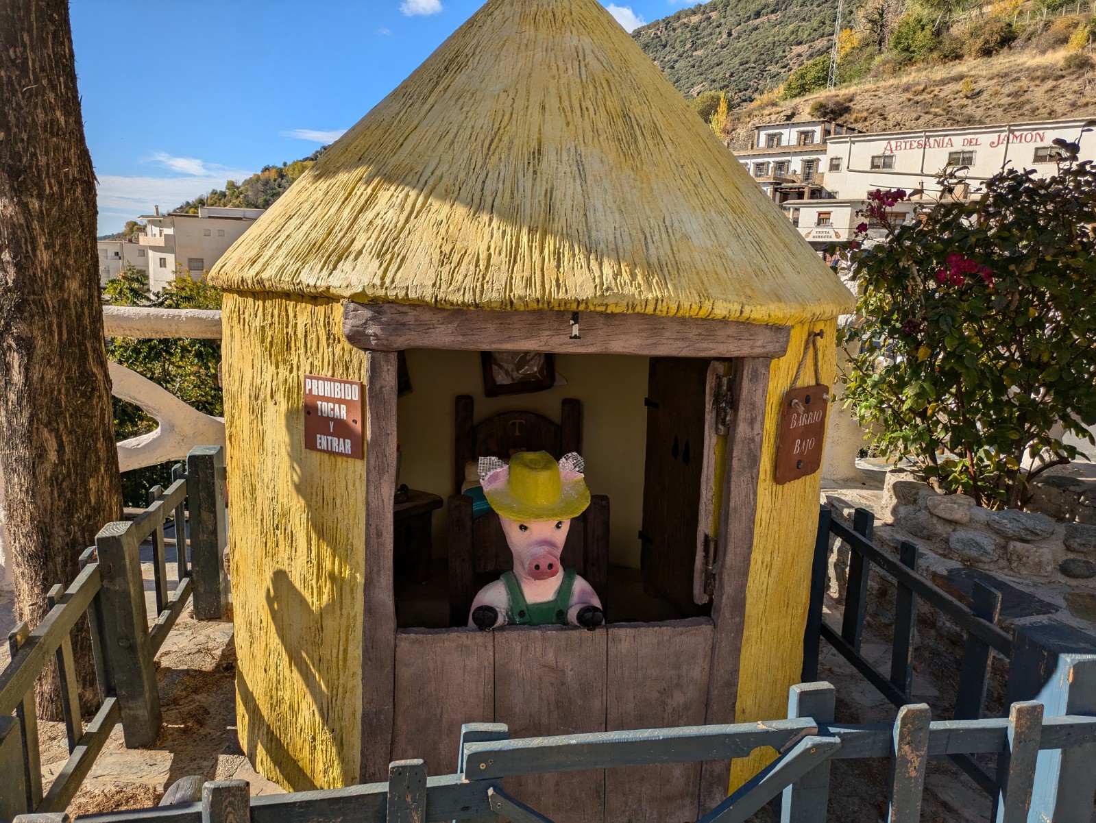 PXL 20241024 092800643