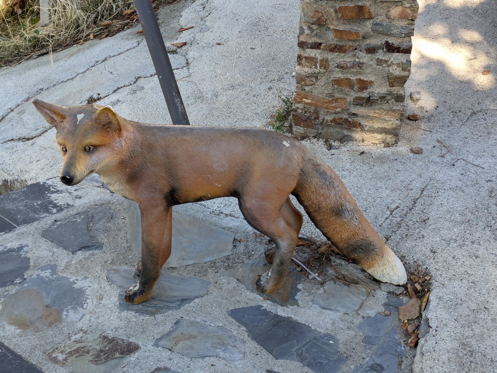 PXL 20241024 092936274