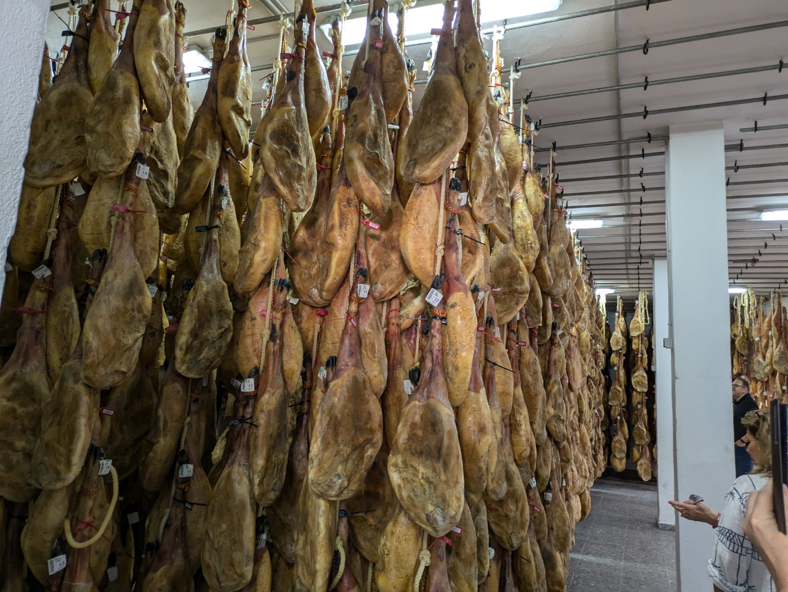 PXL 20241024 093233506