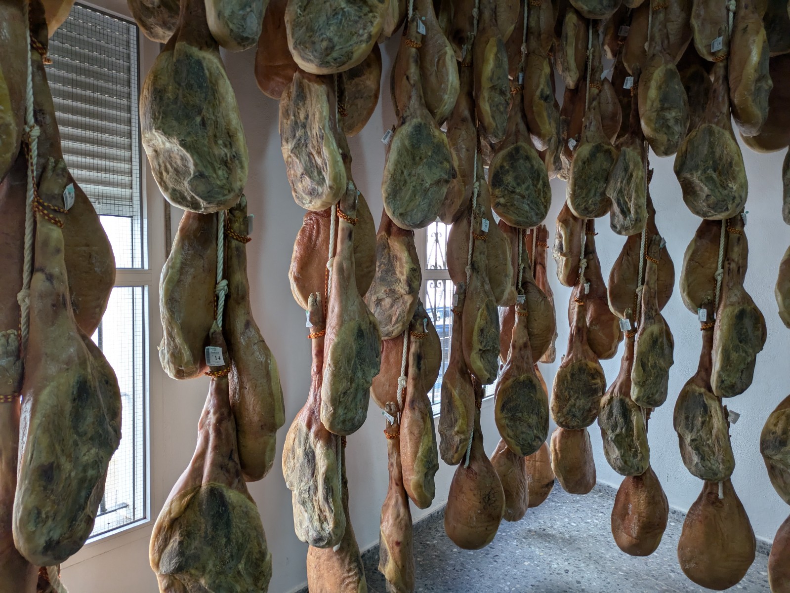 PXL 20241024 093254397