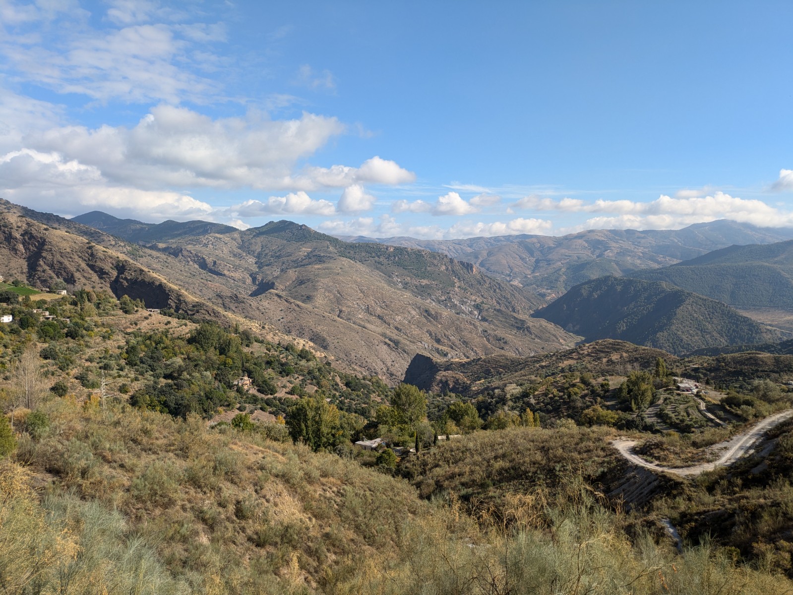 PXL 20241024 140333122