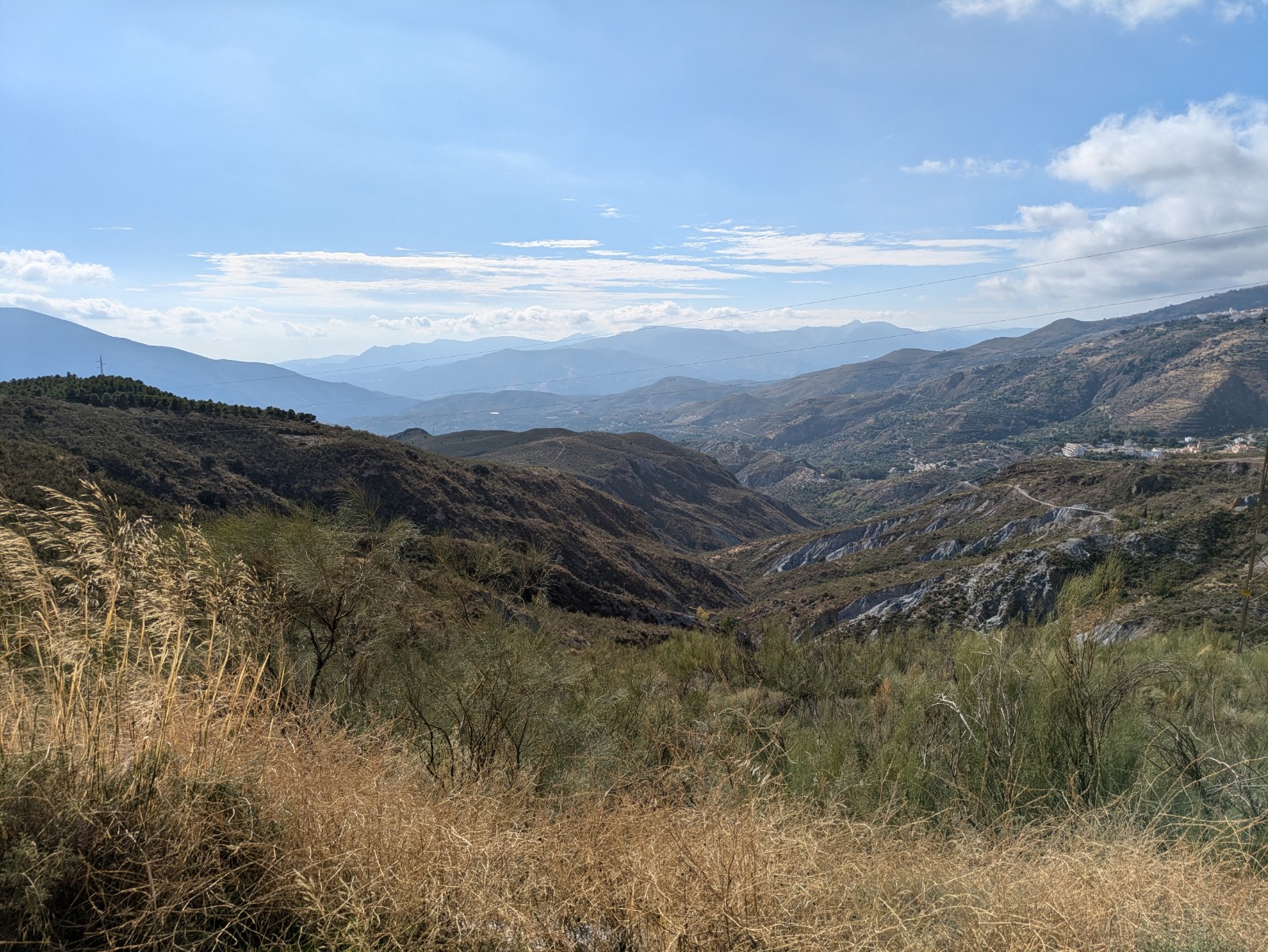 PXL 20241024 140650447