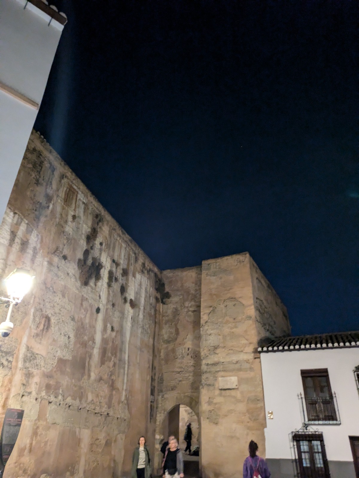 PXL 20241024 182647804