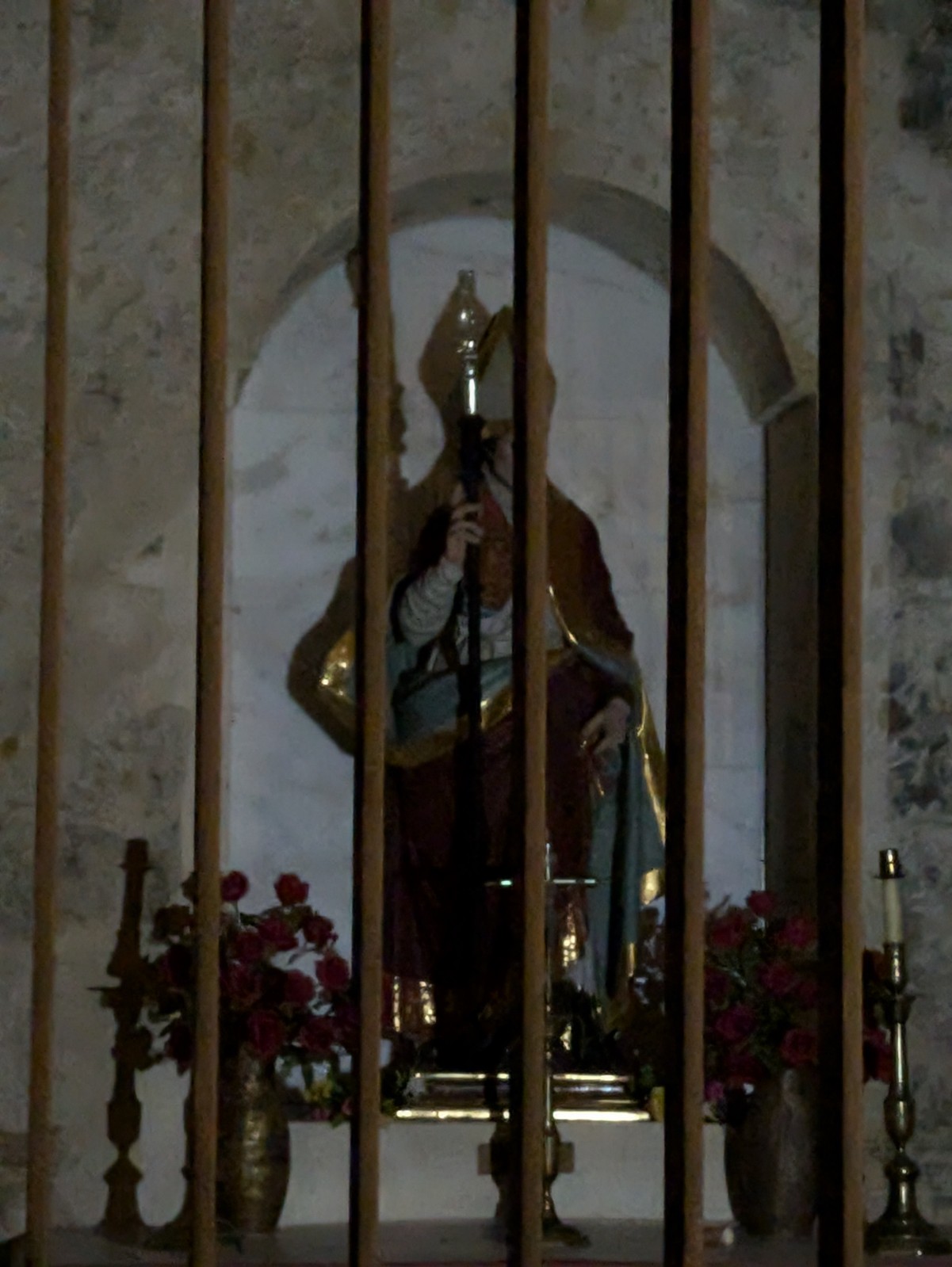 PXL 20241024 183043791