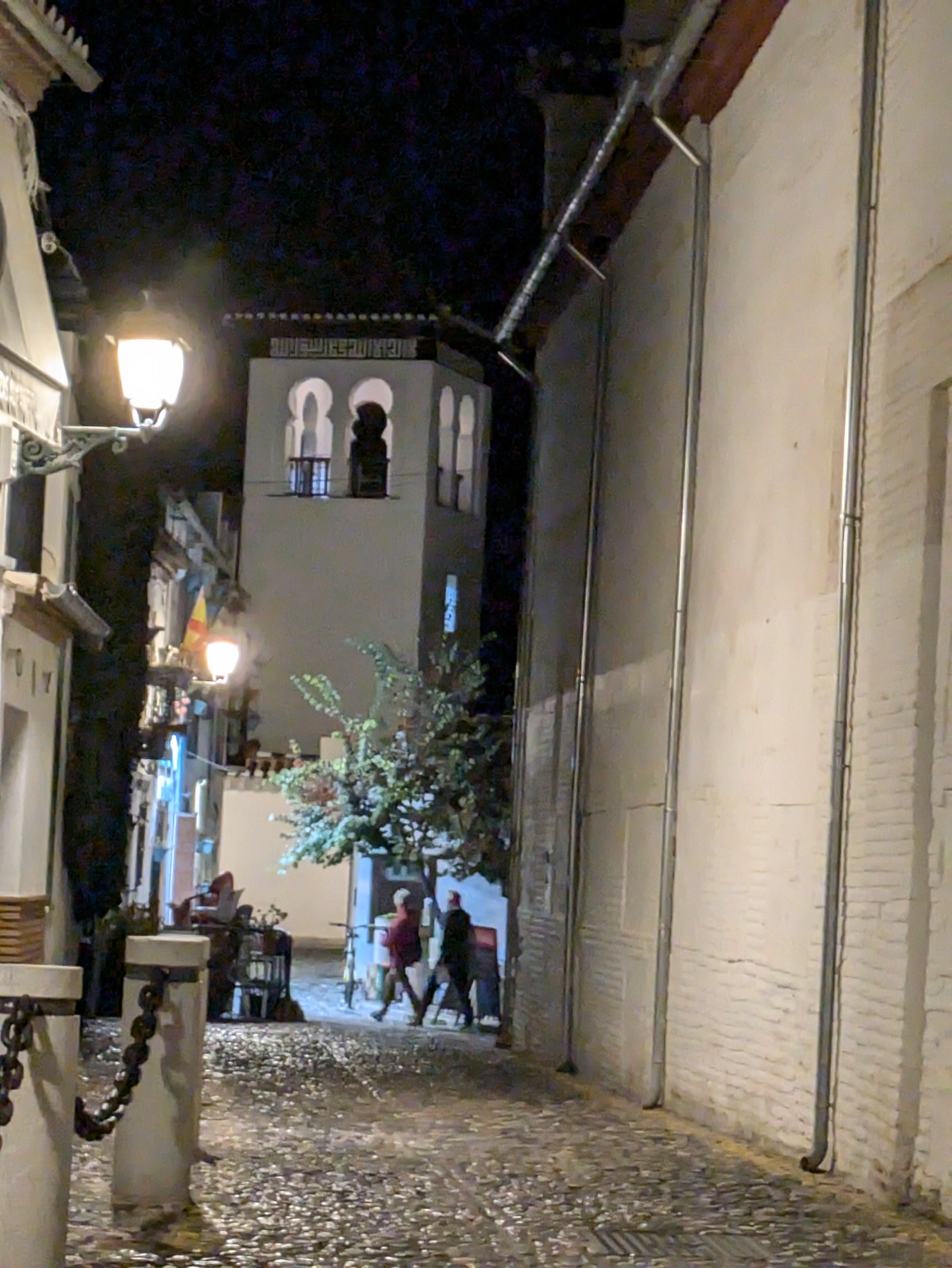 PXL 20241024 183352301