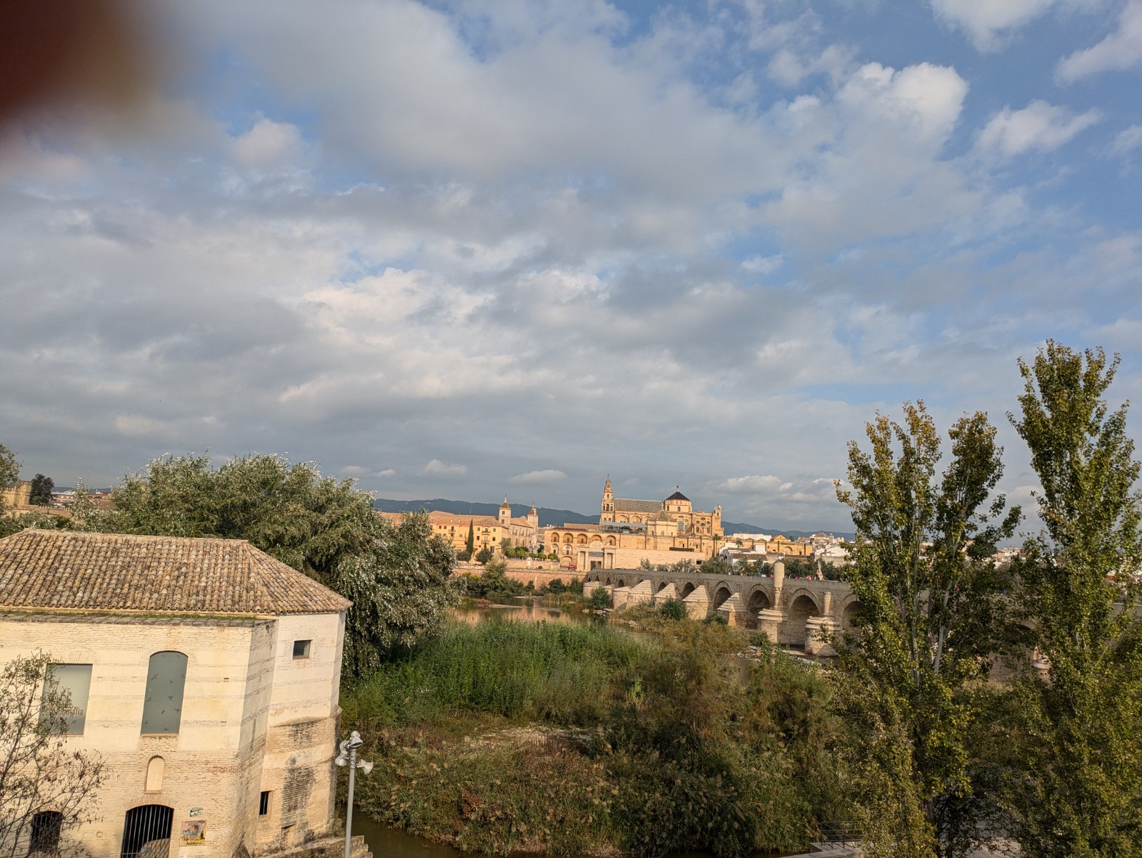 PXL 20241025 090242618