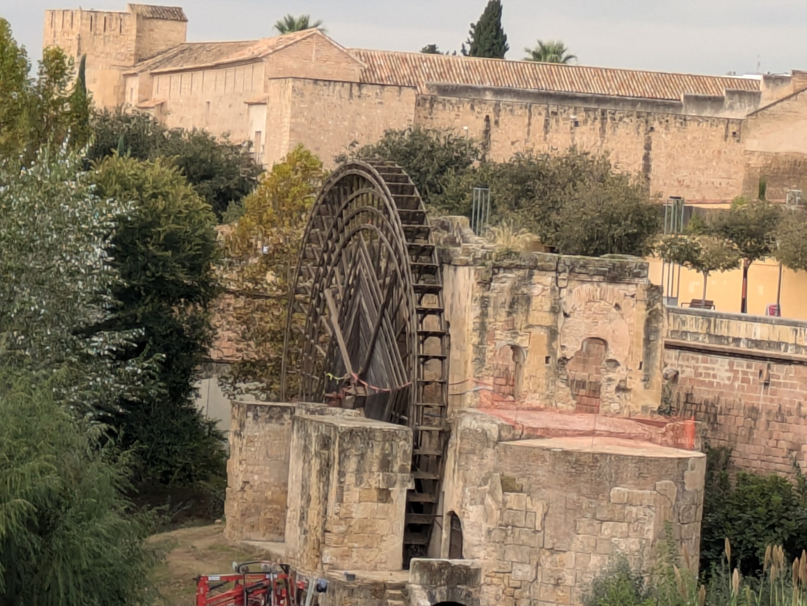 PXL 20241025 091349017