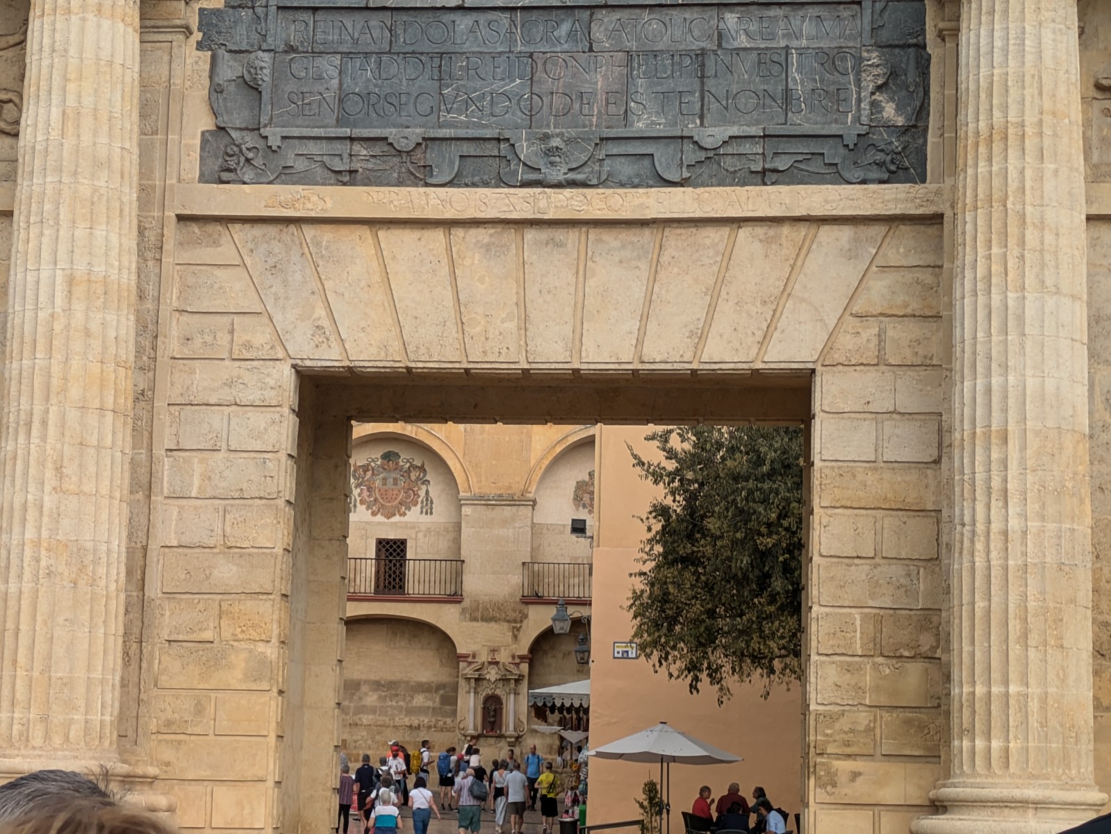 PXL 20241025 091514574