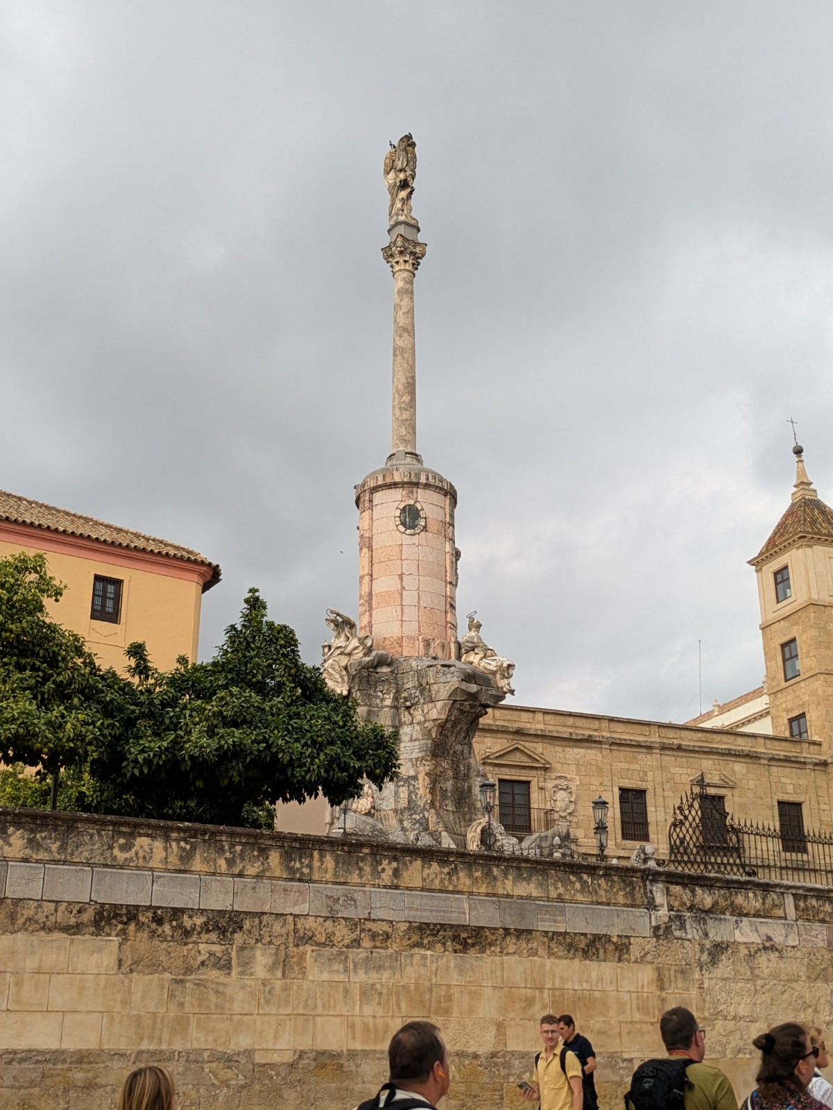 PXL 20241025 091558777