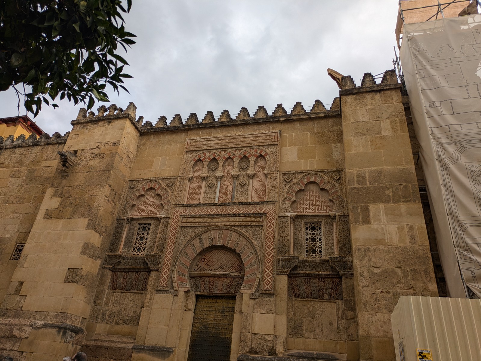 PXL 20241025 091804988