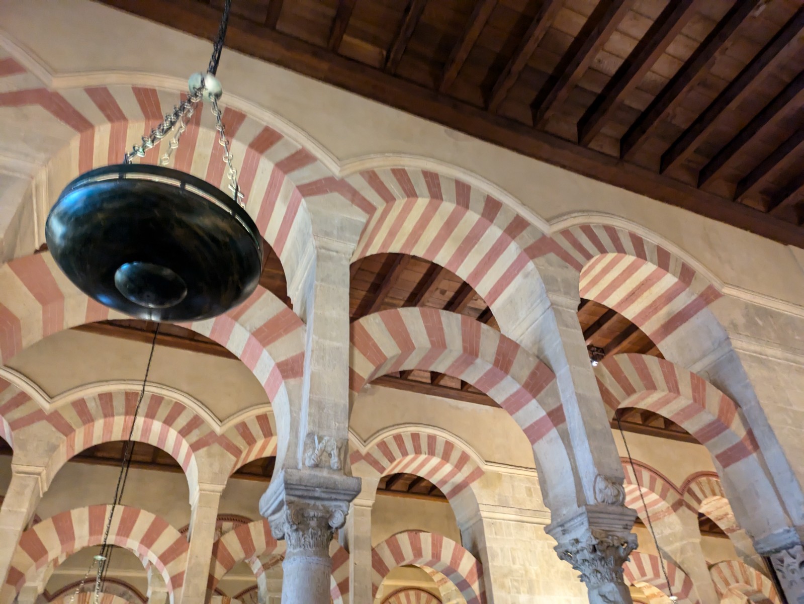 PXL 20241025 095824938