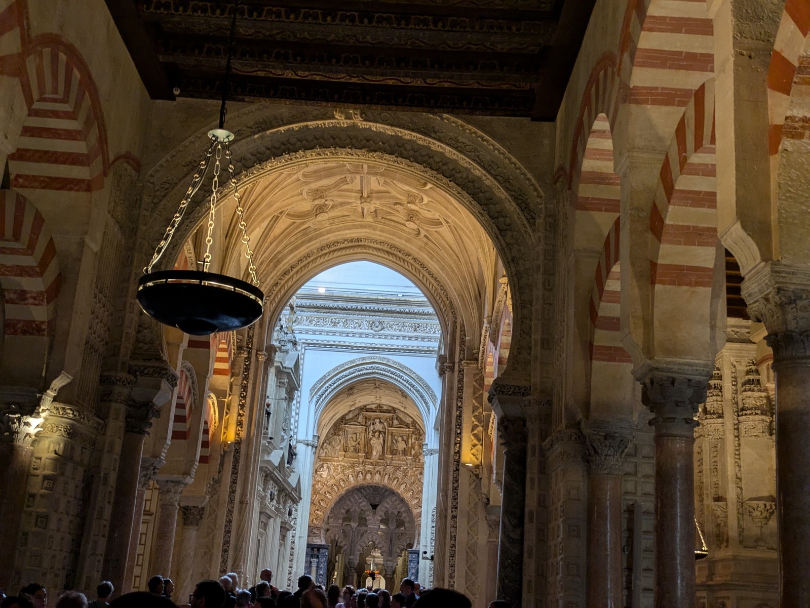 PXL 20241025 100011458