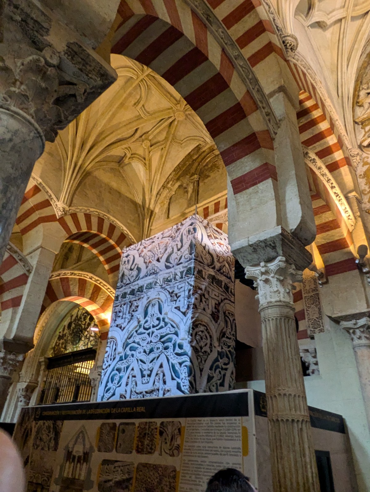 PXL 20241025 101343623