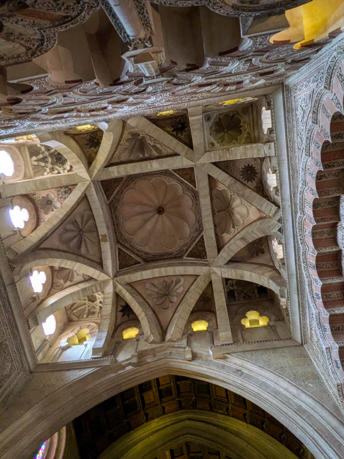 PXL 20241025 101835605